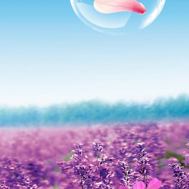 精致花瓣玄关画