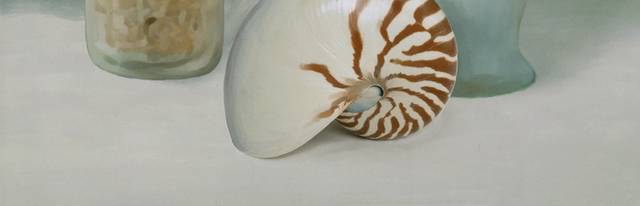 海螺与白花油画装饰画