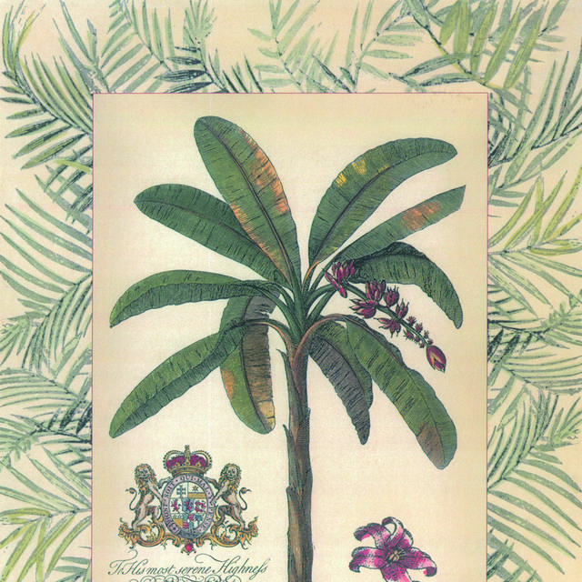 纯净椰树装饰画