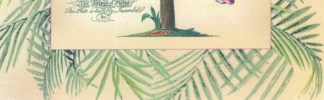 纯净椰树装饰画