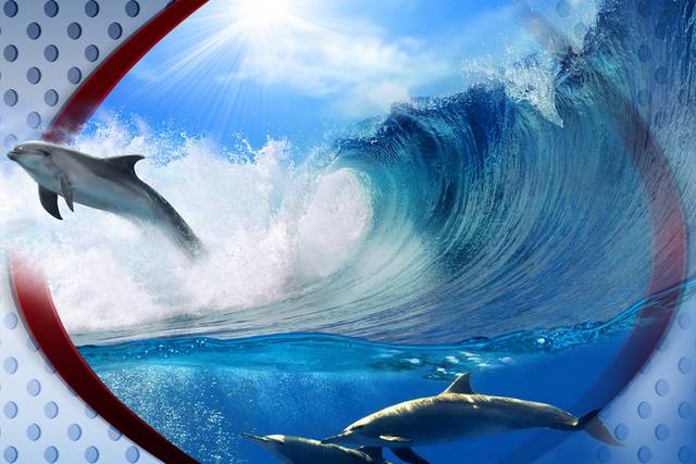 海浪海豚装饰画