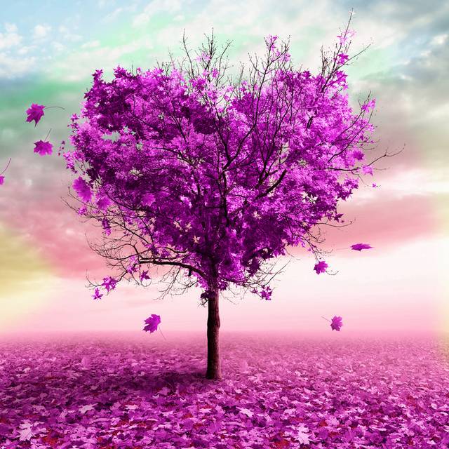 紫色爱心树背景