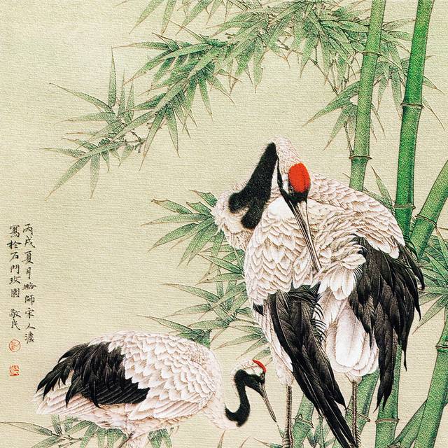 仙鹤与竹背景