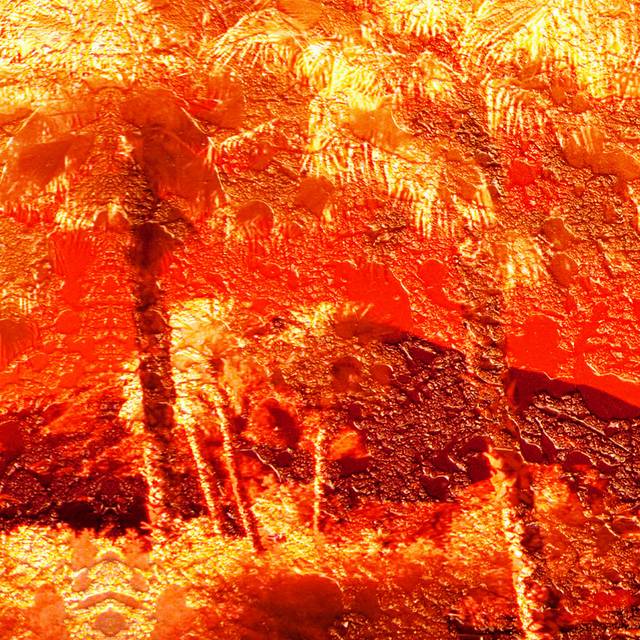 夕阳下的椰树装饰画4