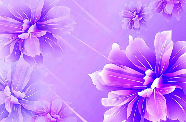 美丽紫色花朵背景