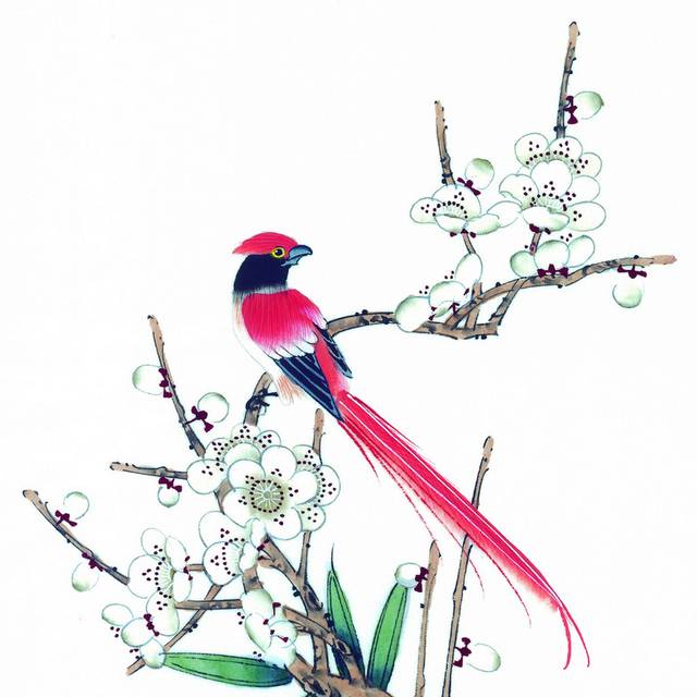 红色小鸟装饰画