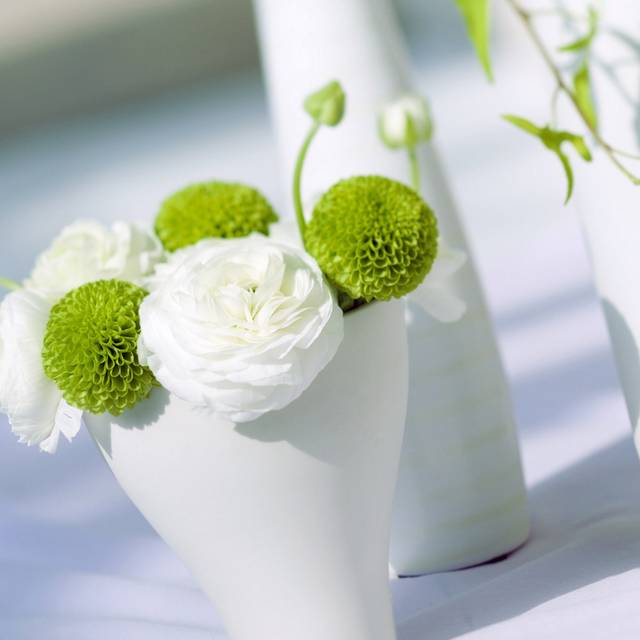 绿白植物装饰画