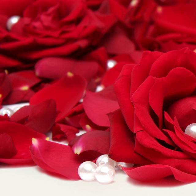 鲜红玫瑰花瓣装饰画