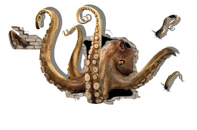 章鱼3D装饰画
