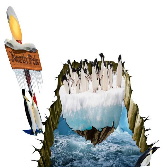 南极企鹅3D装饰画