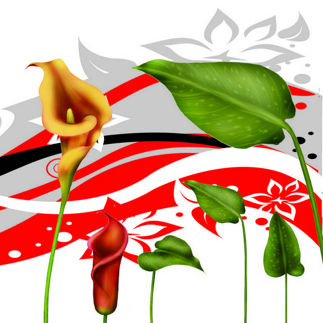 当代花朵装饰画2