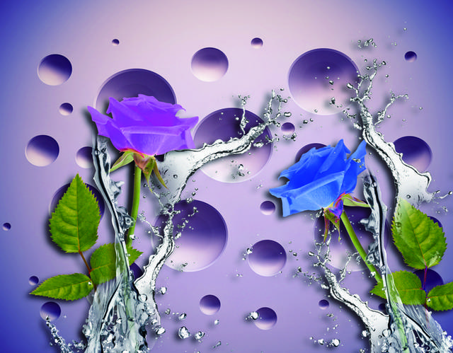 蓝紫精美鲜花装饰画