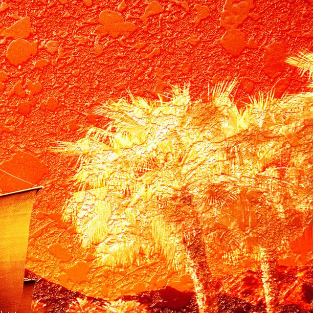 夕阳下的椰树装饰画3