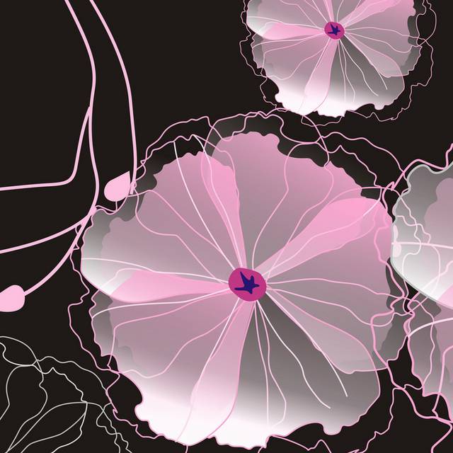 黑底粉色花朵装饰画1