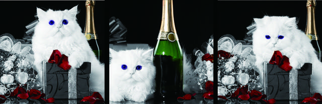 猫咪香槟装饰画