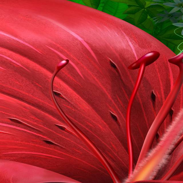 红色大花瓣装饰画1
