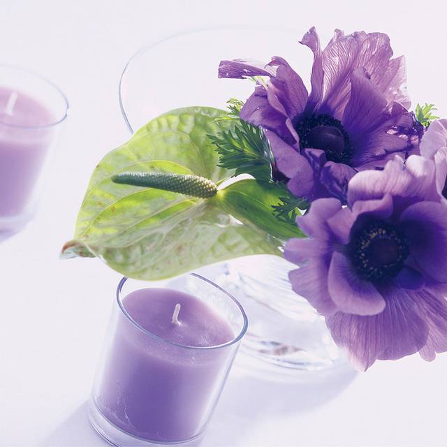紫色美丽鲜花装饰画素材