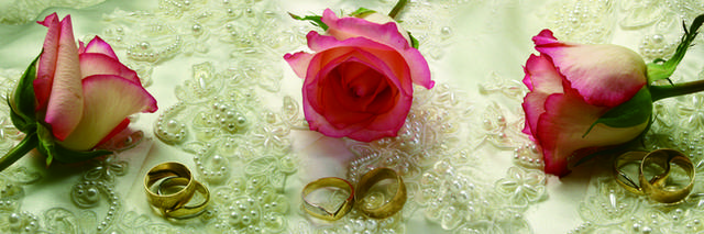 玫瑰婚戒装饰画