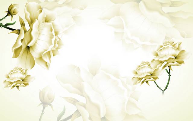 白色时尚大气精美花朵装饰画
