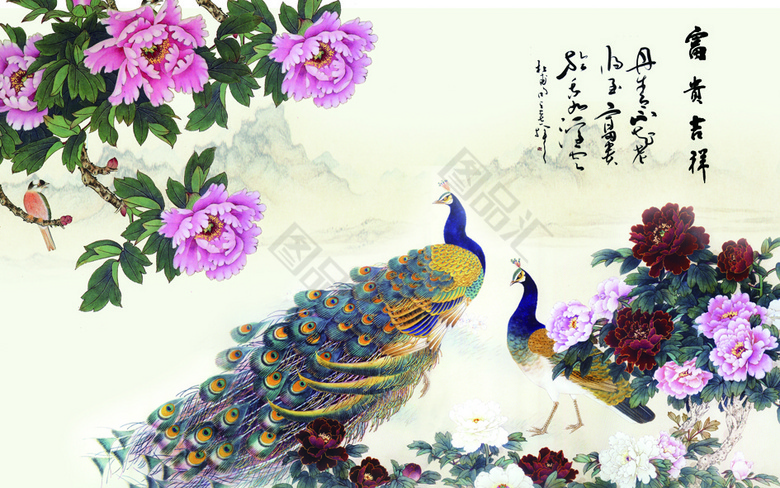 孔雀と花の装飾品 Amazon.co.jp: DKGJFX 孔雀の羽のファン孔雀の開いた画面手持ち