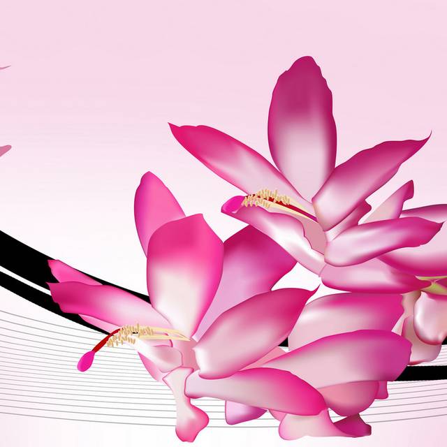 大气时尚粉色花朵装饰画