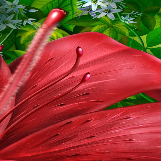 红色大花瓣装饰画2