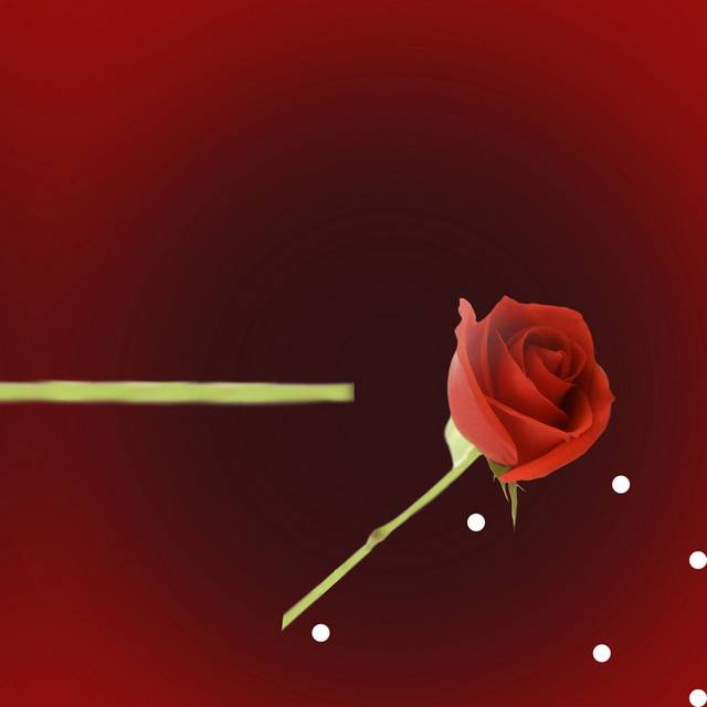 一朵玫瑰装饰画2