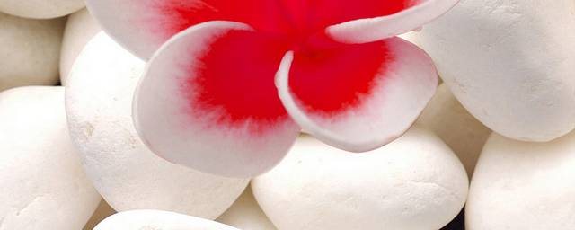 白色鹅卵石红花装饰画