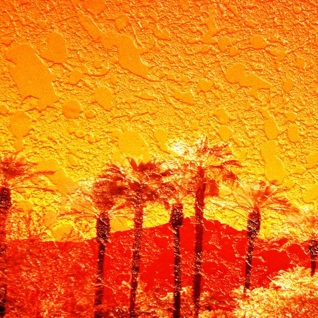 夕阳下的椰树装饰画