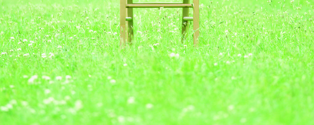 草坪座椅装饰画