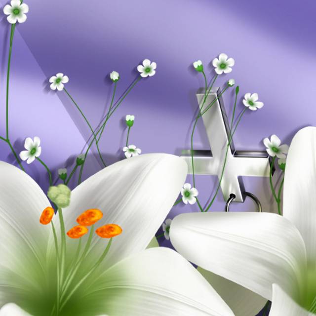 清新白色花卉装饰画