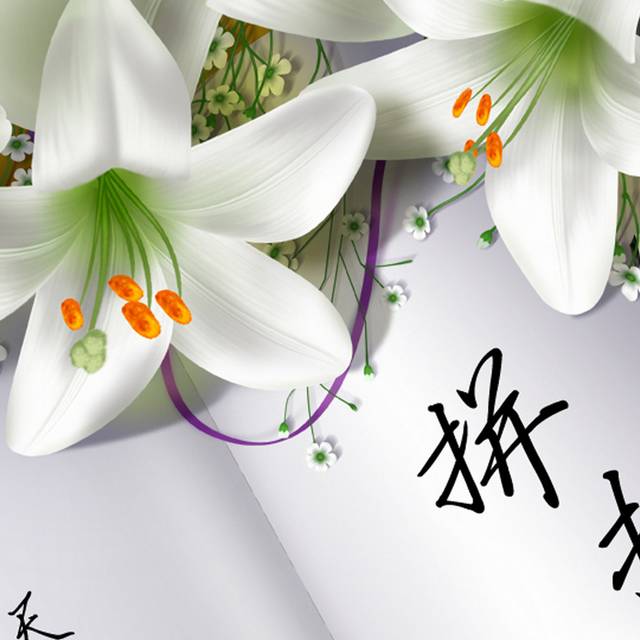 花卉日记装饰画1