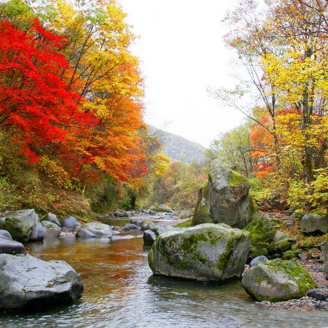 湍急风景瀑布装饰画3