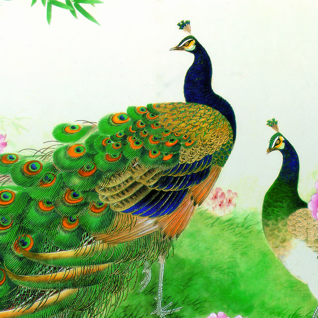 绿孔雀装饰画1