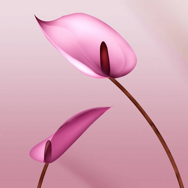 粉色花蕊装饰画2