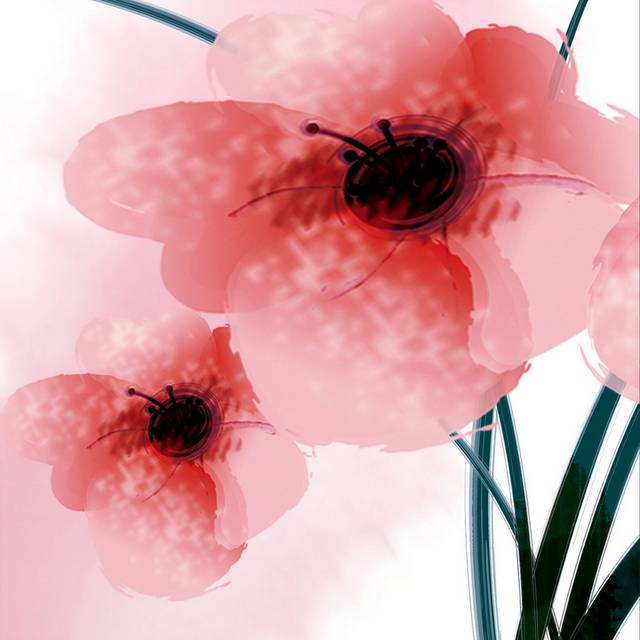 精美粉红色花朵装饰画
