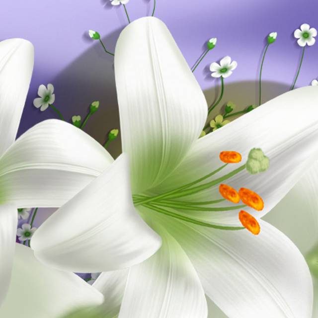 清新白色花卉装饰画2