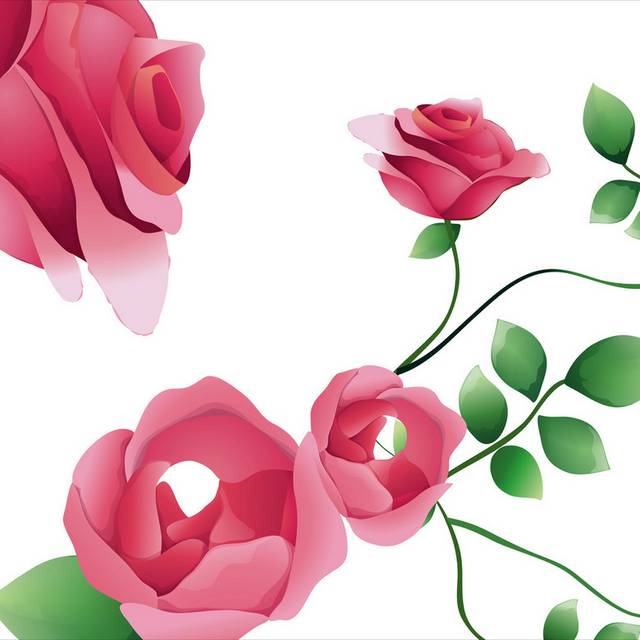 粉色淡雅玫瑰装饰画1