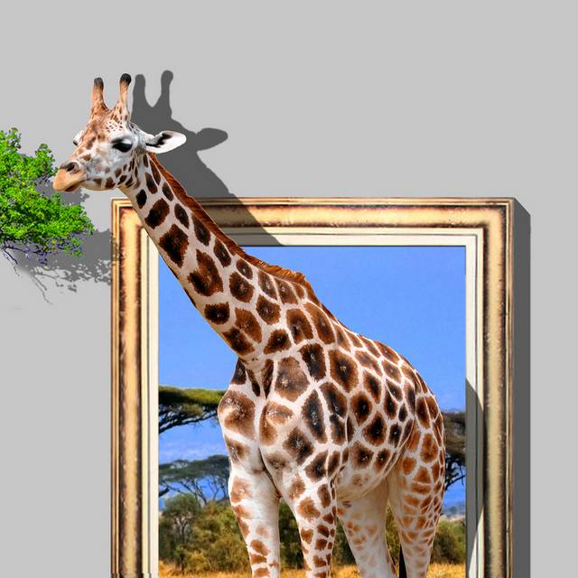 长颈鹿3D装饰画