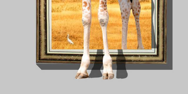 长颈鹿3D装饰画
