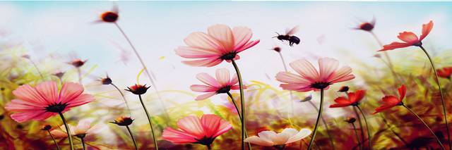 花卉蜜蜂装饰画