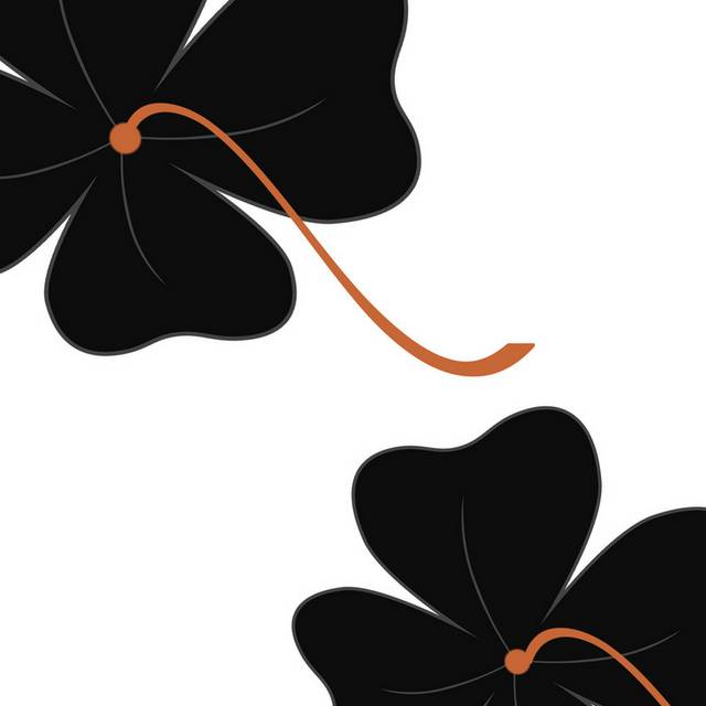 黑色花瓣组合装饰画2