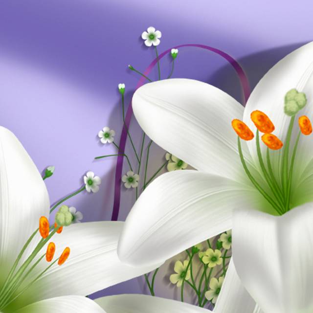 清新白色花卉装饰画1