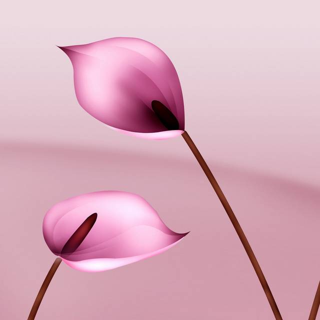 粉色花蕊装饰画