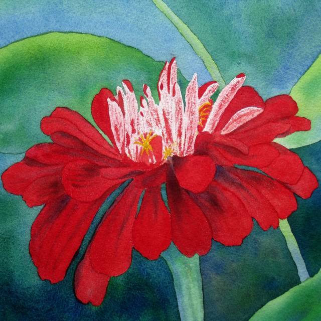 安静的红花装饰画