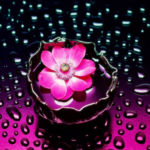 水滴中的花瓣装饰画1