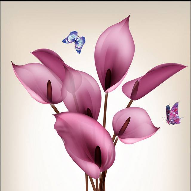 紫色马蹄莲玄关画