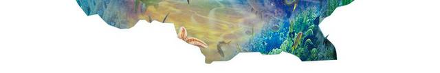 海洋生物3D装饰画1