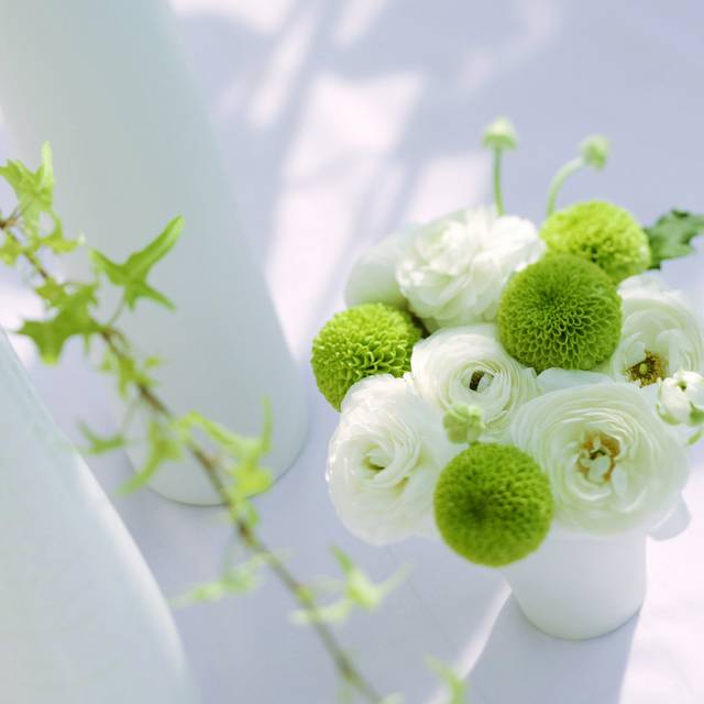 绿白植物装饰画2