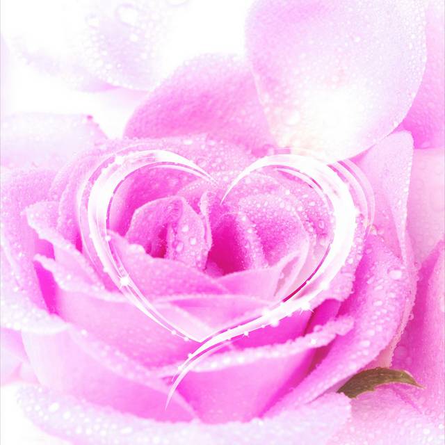 粉色爱心玫瑰装饰画1